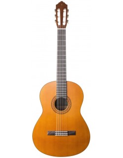 Chitarra Classica C40III