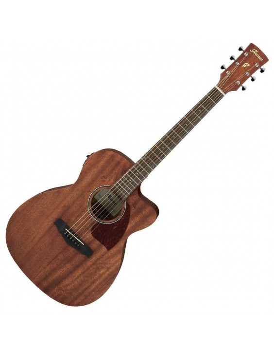 Chitarra Acustica elettrificata