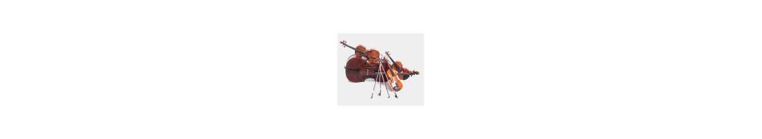 Accessori per strumenti ad Arco - Corde - Mentoniere - Spalliere